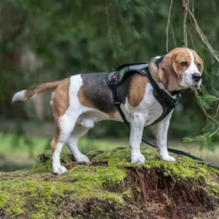 Rukka® Mission Geschirr, Olivneu -ZOOPLUS Verkäufe 387015 386914 386915 386916 rukka mission harness darkolive hs 08 0