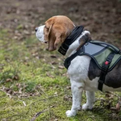 Rukka® Mission Geschirr, Olivneu -ZOOPLUS Verkäufe 387015 386914 386915 386916 rukka mission harness darkolive hs 09 9