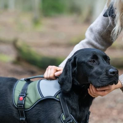 Rukka® Mission Geschirr, Olivneu – Bild 8