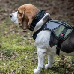 Rukka® Mission Geschirr, Olivneu -ZOOPLUS Verkäufe 387015 386914 386915 386916 rukka mission harness darkolive hs 13 3