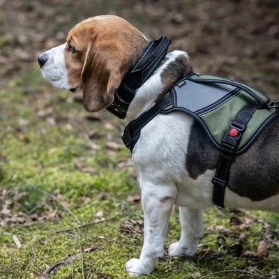 Rukka® Mission Geschirr, Olivneu – Bild 10