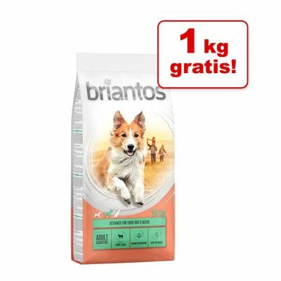 Briantos Trockenfutter 13 + 1 Kg Gratis! 3 Briantos Trockenfutter 13 + 1 Kg Gratis!