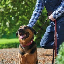 HUNTER Halsband Swiss -ZOOPLUS Verkäufe 404810 404811 hunter halsband swiss hs 06 0