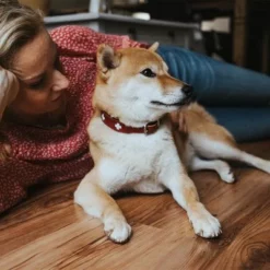 HUNTER Halsband Swiss -ZOOPLUS Verkäufe 404810 404811 hunter halsband swiss hs 08 0