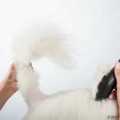 Schermaschine Moser Max50 -ZOOPLUS Verkäufe 465281 schermaschine moser max 50 02 0