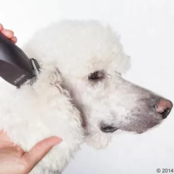 Schermaschine Moser Max50 -ZOOPLUS Verkäufe 465281 schermaschine moser max 50 05 4