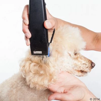 Schermaschine Moser Rex 12 Schermaschine Moser Rex – Bild 10