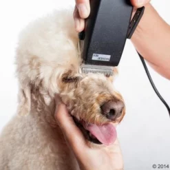 Schermaschine Moser Rex 22 Schermaschine Moser Rex -ZOOPLUS Verkäufe 465375 schermaschine moser rex 04 0