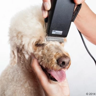 Schermaschine Moser Rex 11 Schermaschine Moser Rex – Bild 9