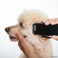 Schermaschine Moser Rex 21 Schermaschine Moser Rex -ZOOPLUS Verkäufe 465375 schermaschine moser rex 05 2