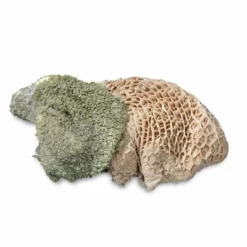 ProCani Verdauungs-Paket 30 ProCani Verdauungs-Paket -ZOOPLUS Verkäufe 482636 pricani buynature pansen gruen rohstoffe 8