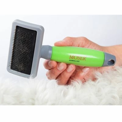 Moser Zupfbürste 4 Moser Zupfbürste – Bild 2