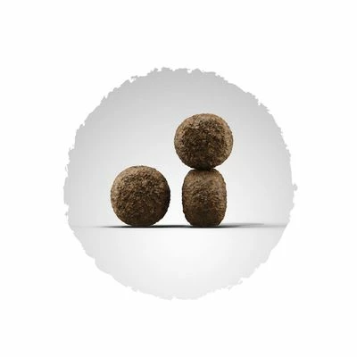 Josera High Energy 4 Josera High Energy – Bild 2