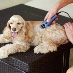 Oster Heimtierschermaschinen-Set 220 V -ZOOPLUS Verkäufe 53731 osterheimtierschermaschinen hs 12 3