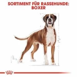 Royal Canin Boxer Adult -ZOOPLUS Verkäufe 61118 rc breed boxer adult hs 01 8