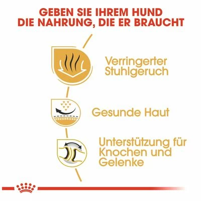 Royal Canin Bulldog Adult 7 Royal Canin Bulldog Adult – Bild 5