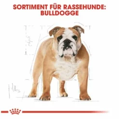 Royal Canin Bulldog Adult 14 Royal Canin Bulldog Adult -ZOOPLUS Verkäufe 61122 rc bulldog adult hs 05 9