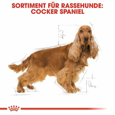Royal Canin Cocker Adult 8 Royal Canin Cocker Adult – Bild 6