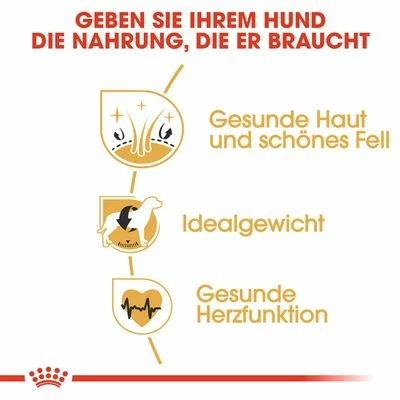 Royal Canin Cocker Adult 7 Royal Canin Cocker Adult – Bild 5