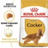 Royal Canin Cocker Adult 2 Royal Canin Cocker Adult -ZOOPLUS Verkäufe 61129 rc breed cocker adult mainpic 4