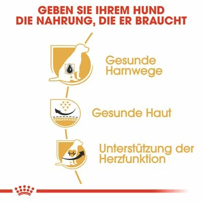 Royal Canin Dalmatian Adult 7 Royal Canin Dalmatian Adult – Bild 5