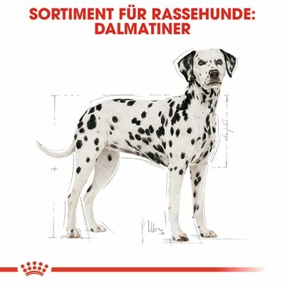 Royal Canin Dalmatian Adult 8 Royal Canin Dalmatian Adult – Bild 6