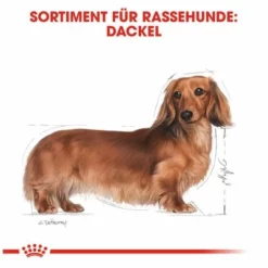 Royal Canin Dachshund Adult -ZOOPLUS Verkäufe 61135 rc dachshund hs 01 8