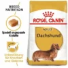 Royal Canin Dachshund Adult -ZOOPLUS Verkäufe 61135 rc dachshund hs 06 1