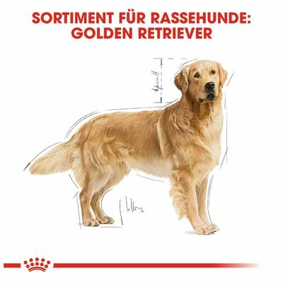 Royal Canin Golden Retriever Adult 8 Royal Canin Golden Retriever Adult – Bild 6