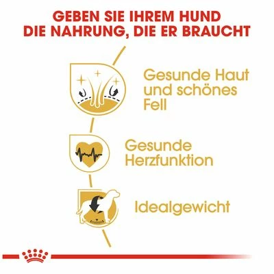 Royal Canin Golden Retriever Adult 7 Royal Canin Golden Retriever Adult – Bild 5