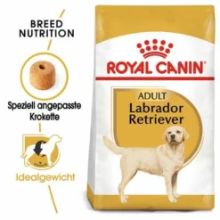 Royal Canin Labrador Retriever Adult