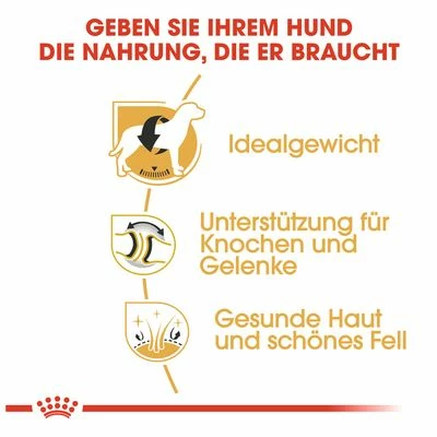 Royal Canin Labrador Retriever Adult 7 Royal Canin Labrador Retriever Adult – Bild 5