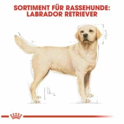 Royal Canin Labrador Retriever Adult 14 Royal Canin Labrador Retriever Adult -ZOOPLUS Verkäufe 61151 rc labrador retriever hs 06 8