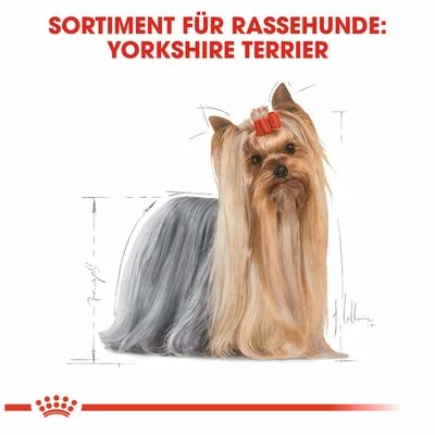 Royal Canin Yorkshire Terrier Adult 7 Royal Canin Yorkshire Terrier Adult – Bild 5