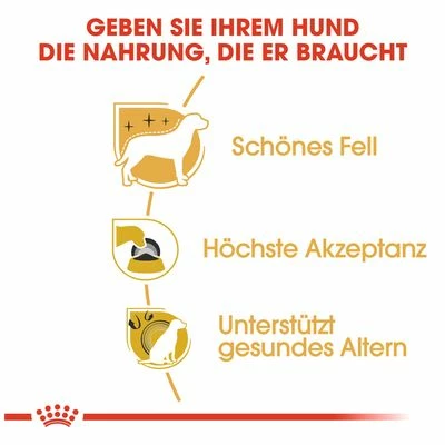 Royal Canin Yorkshire Terrier Adult 6 Royal Canin Yorkshire Terrier Adult – Bild 4