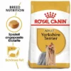 Royal Canin Yorkshire Terrier Adult -ZOOPLUS Verkäufe 61173 rc yorkshire terrier hs 06 5