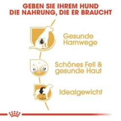 Royal Canin Bichon Frisé Adult 13 Royal Canin Bichon Frisé Adult -ZOOPLUS Verkäufe 61339 rc breed bichon frise hs 03 7