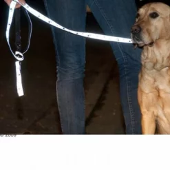 Trixie Hundeleine Pfoten Silver Reflect -ZOOPLUS Verkäufe 61857 trixie vleinepfoten4 1