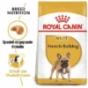 Royal Canin French Bulldog Adult -ZOOPLUS Verkäufe 65427 rc frenchbulldog hs 01 1