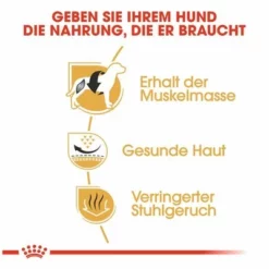 Royal Canin French Bulldog Adult -ZOOPLUS Verkäufe 65427 rc frenchbulldog hs 04 9