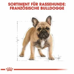 Royal Canin French Bulldog Adult -ZOOPLUS Verkäufe 65427 rc frenchbulldog hs 05 3