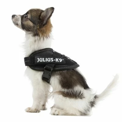 Julius K9 JULIUS-K9 IDC®-Powergeschirr - Schwarz 4 Julius K9 JULIUS-K9 IDC®-Powergeschirr - Schwarz – Bild 2