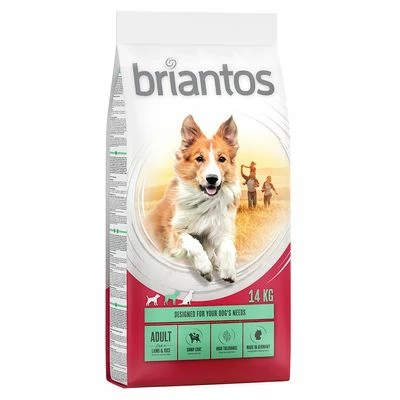 Briantos Sparpaket (2 X Großgebinde) 9 Briantos Sparpaket (2 X Großgebinde) – Bild 7