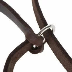 Heim Doppelleine Aus Leder Mit Eingeflochtenem Karabiner -ZOOPLUS Verkäufe 66497 heim lederleine fg 7 6