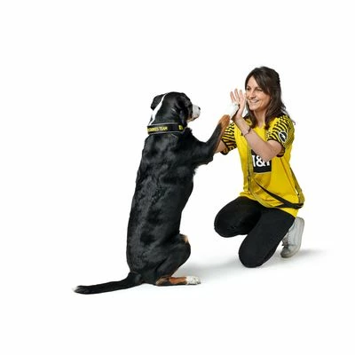 HUNTER Halsband Neopren Reflect BVB – Bild 6