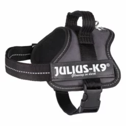 Julius K9 JULIUS-K9® Powergeschirr - Anthrazit 15 Julius K9 JULIUS-K9® Powergeschirr - Anthrazit -ZOOPLUS Verkäufe 69338 pla trixie julius k9 farbangabe hs 03 15020za 3