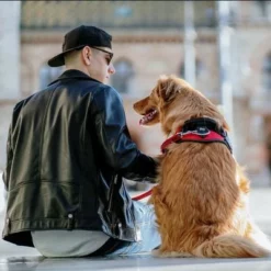 Julius K9 JULIUS-K9 IDC®-Powergeschirr - Rot -ZOOPLUS Verkäufe 73982 julius k9 idc powergeschirr rot hs11 1