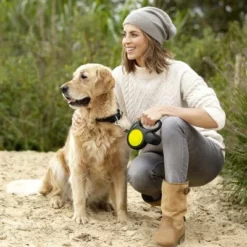 Flexi New Neon Gurt-Leine, 5 M -ZOOPLUS Verkäufe 74648 flexi new neon s hs 05 3