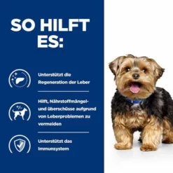 Hill's Prescription Diet L/d Liver Care Nassfutter Für Hunde -ZOOPLUS Verkäufe 75106 hills prescriptiondiet ld livercare nassfutter hunde hs 05 0