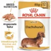 Royal Canin Dachshund Mousse -ZOOPLUS Verkäufe 77841 rc breed dachshund wet mainpic 3
